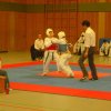 tigerpokal pirmasens 2009 010